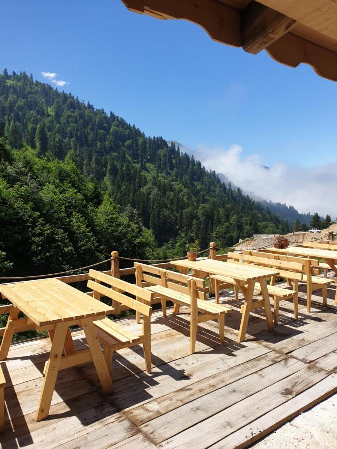 Serinyer Dag Evi Ayder Yaylası Eksteriør bilde