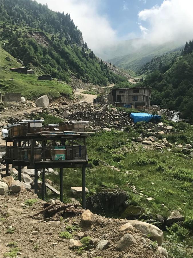 Serinyer Dag Evi Ayder Yaylası Eksteriør bilde